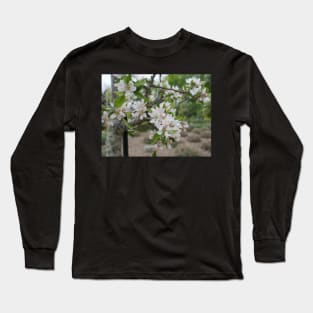 Cherry Blossom flowers white and pink Long Sleeve T-Shirt